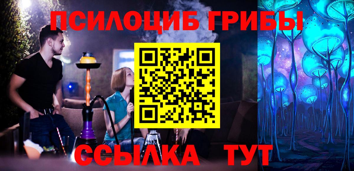 Чита  Галлюциногенные грибы Psilocybe  Вход с VPN  Псилоцибиновые грибы ЛСД 