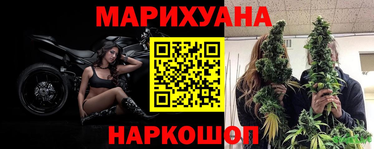 Шишки марихуана сатива Чита